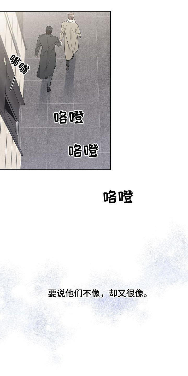 第51章：像又不像10