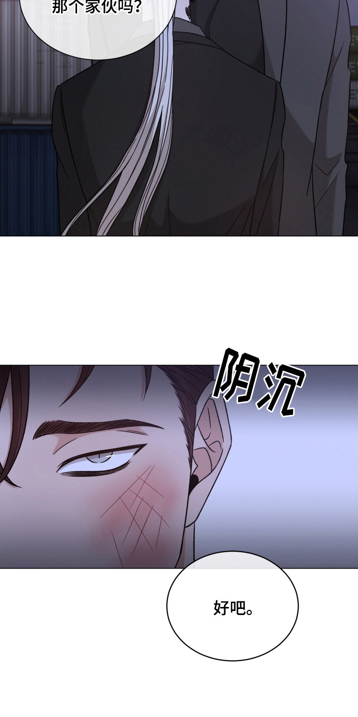 第125章：【第二季】打乱计划11