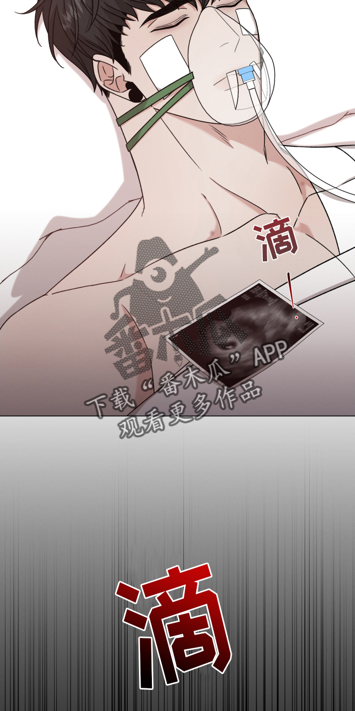 第129章：【第二季】不能没有你19