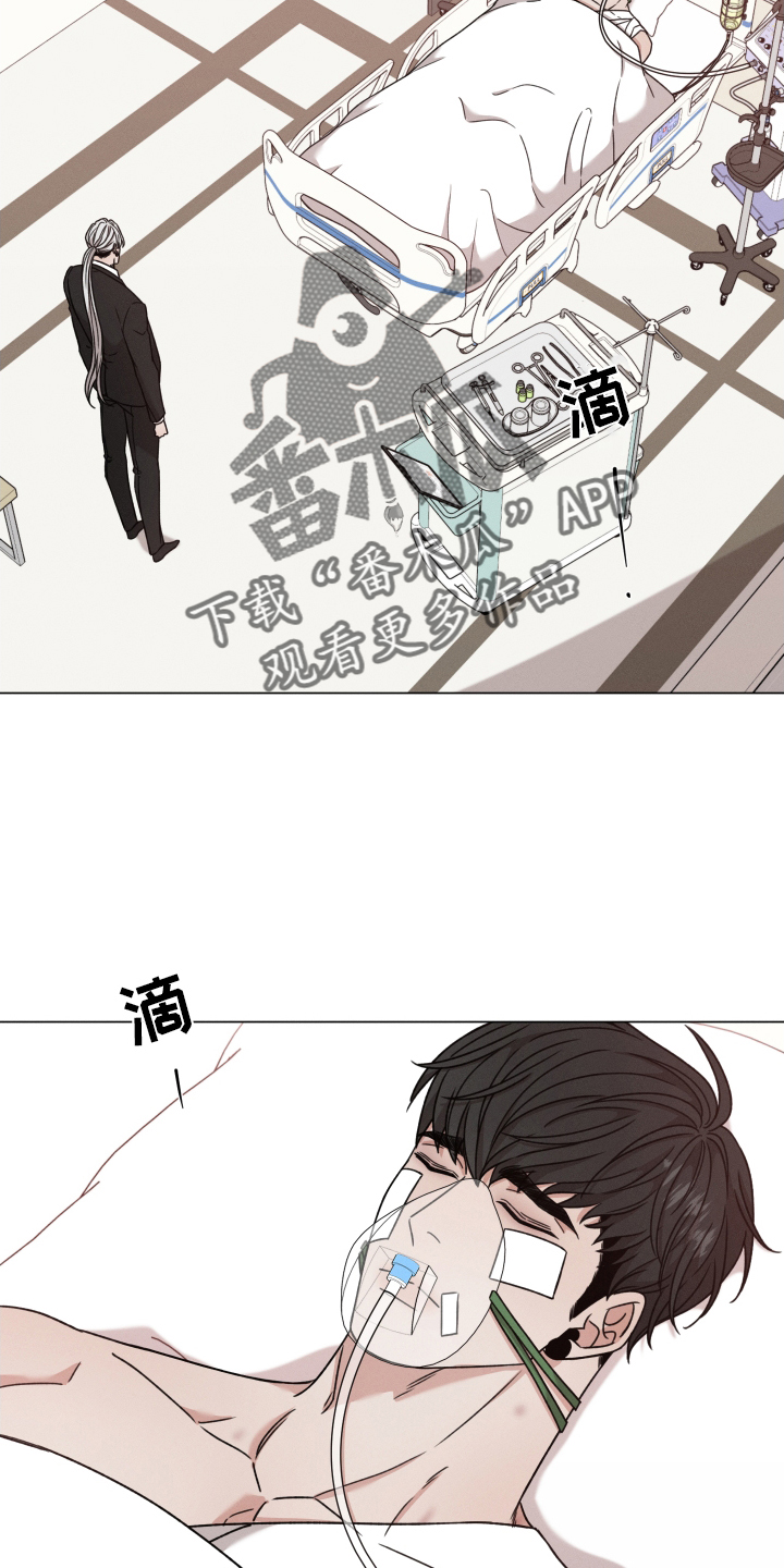 第129章：【第二季】不能没有你3