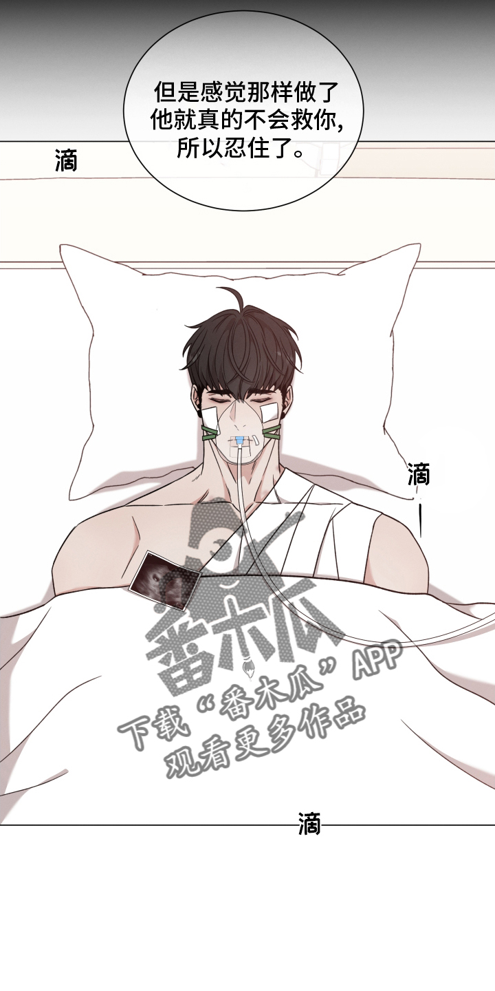 第129章：【第二季】不能没有你13