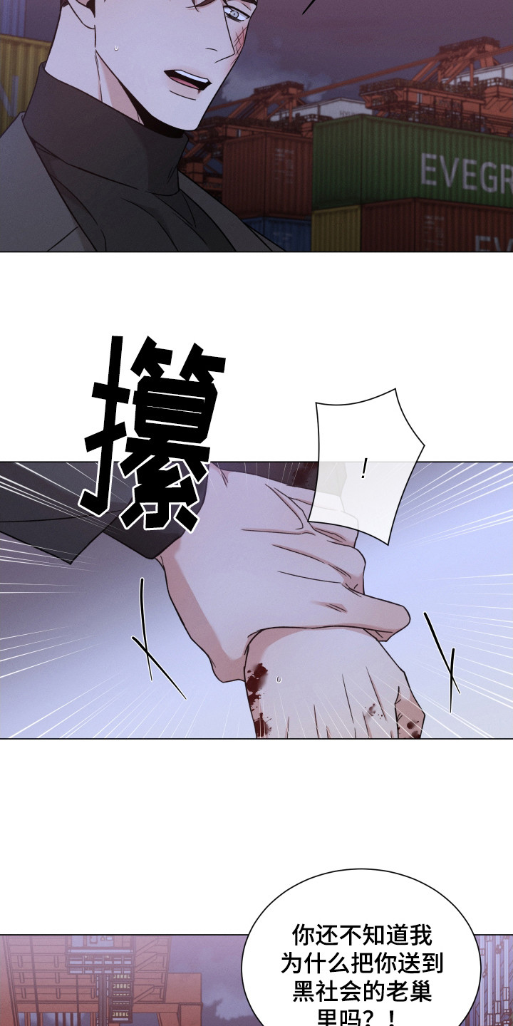 第124章：【第二季】选择8