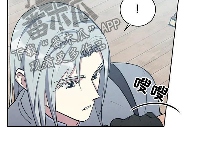 第41章：真好6