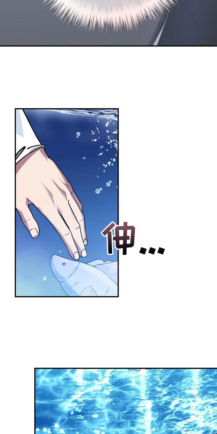 第164章：解决28