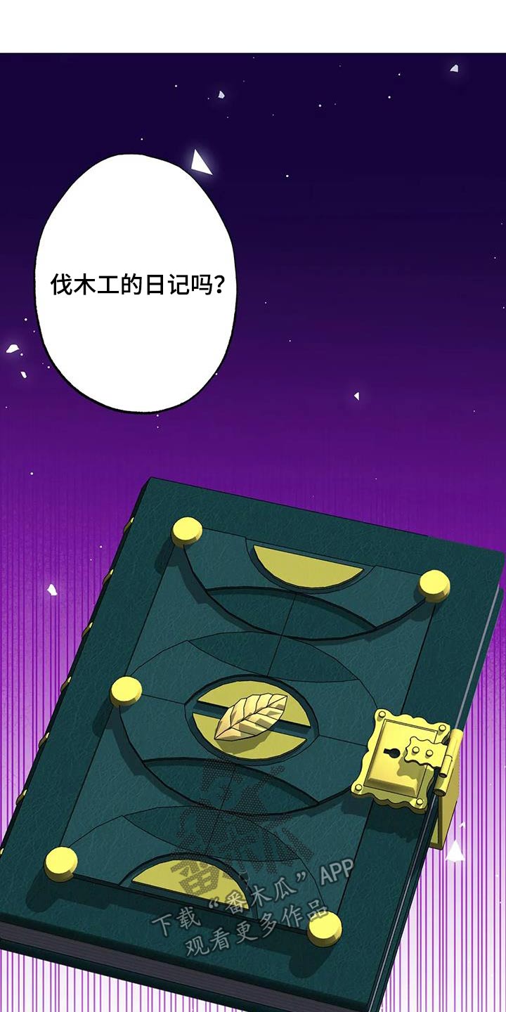 第156章：日记16