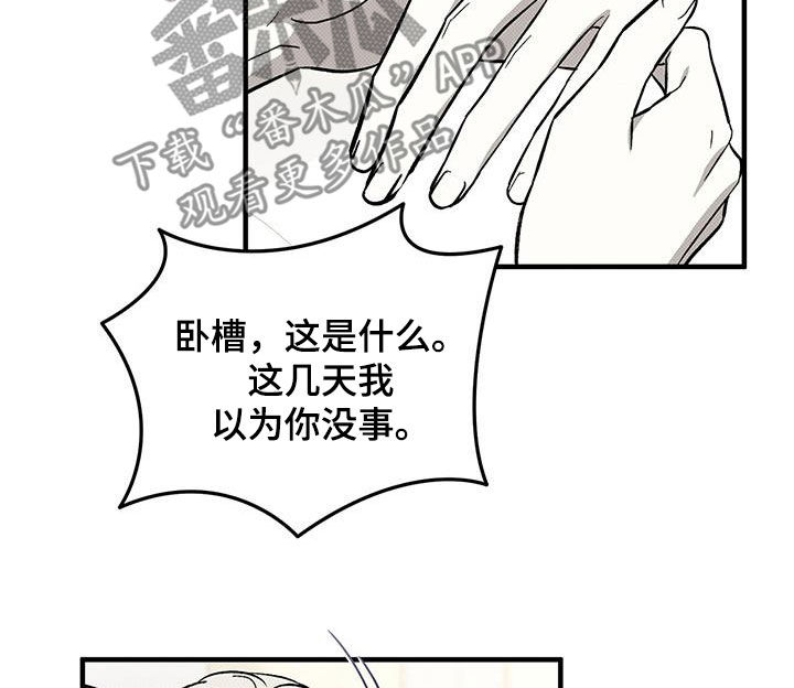 第116话11