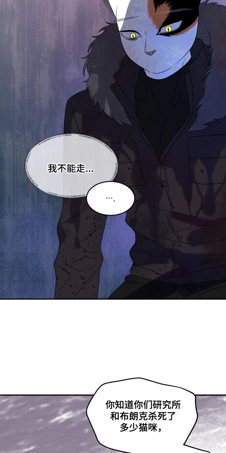 第112话5