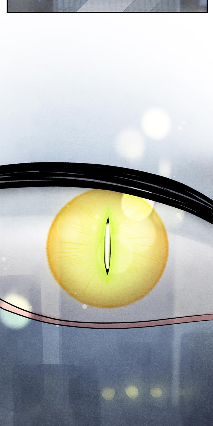 第159话14