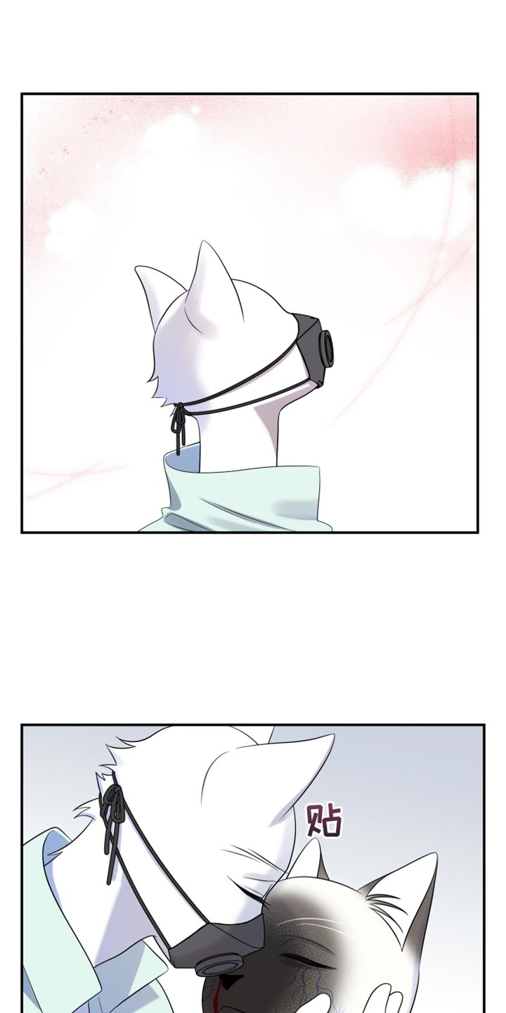 第133话16