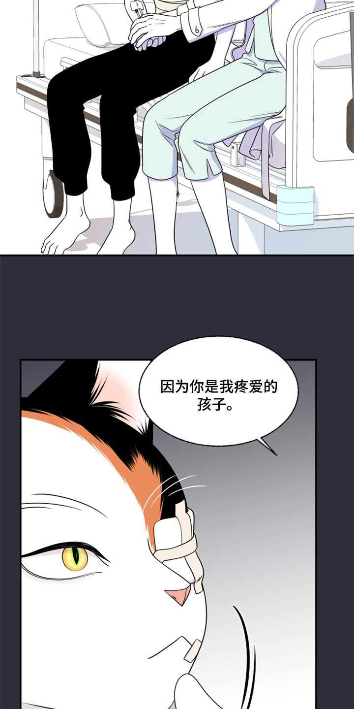第52话7