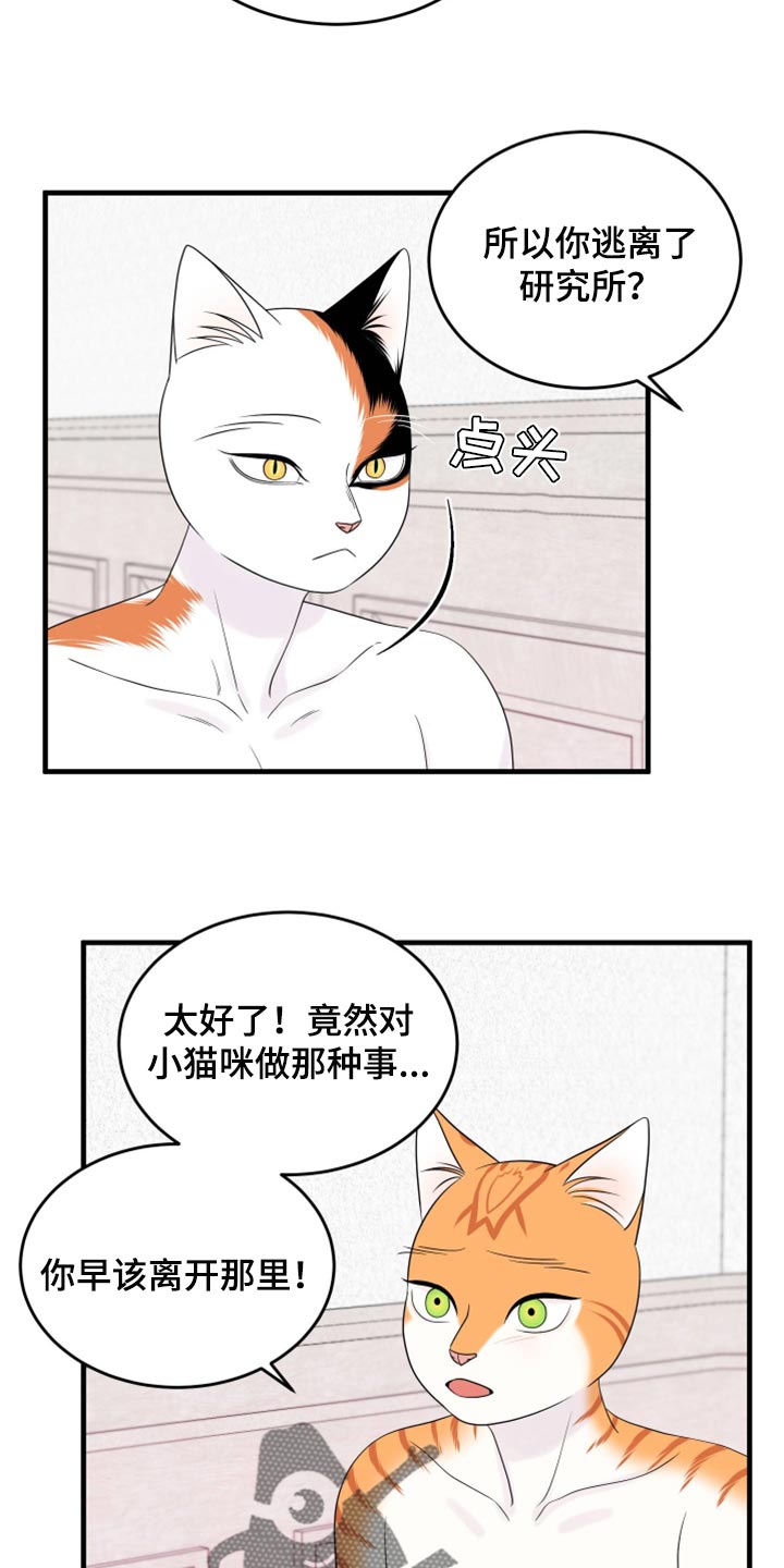 第71话8