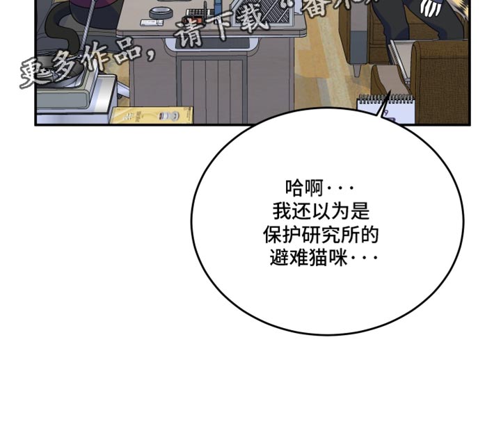 第115话17