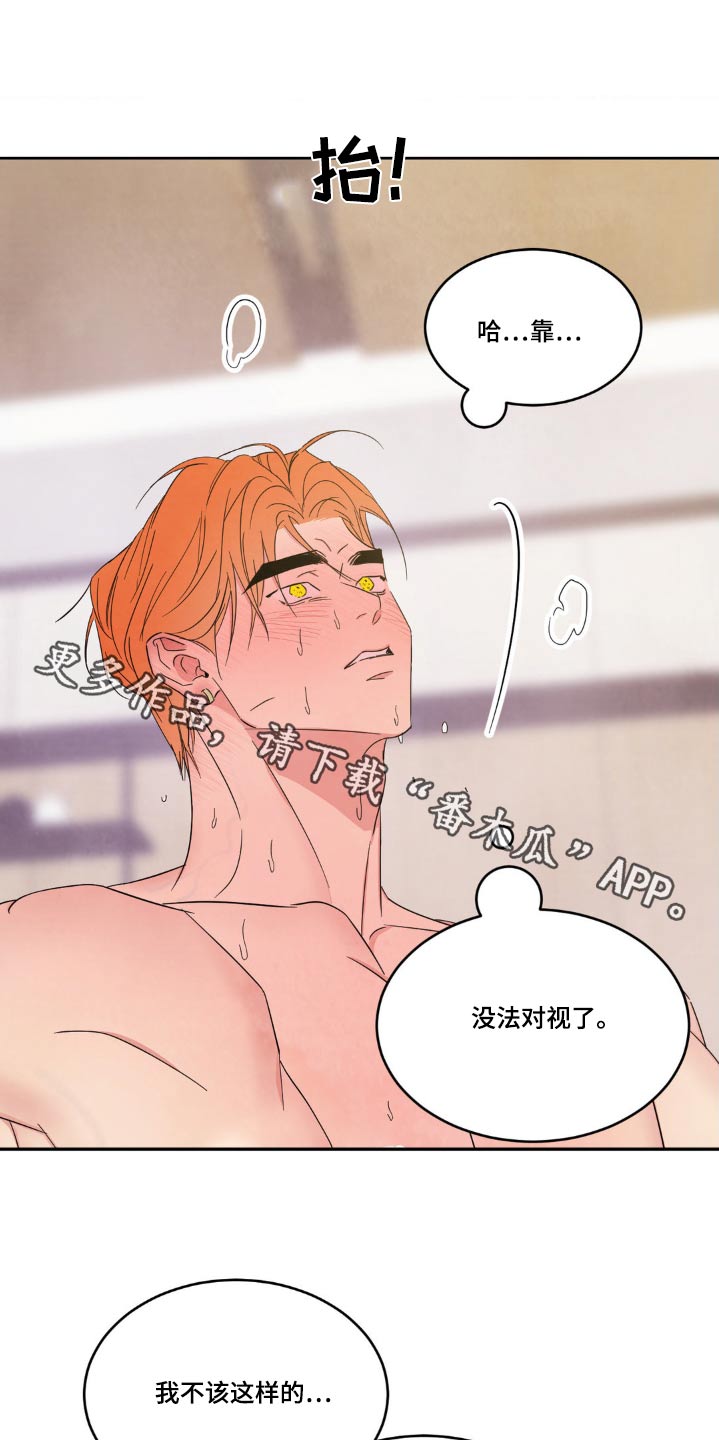 第202章：【第二季】我也喜欢0