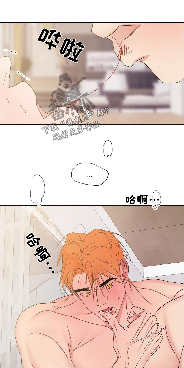 第203章：【第二季】流血14