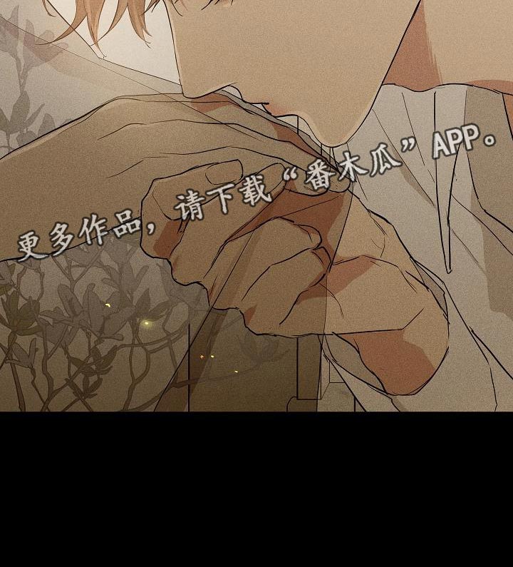 第219话18