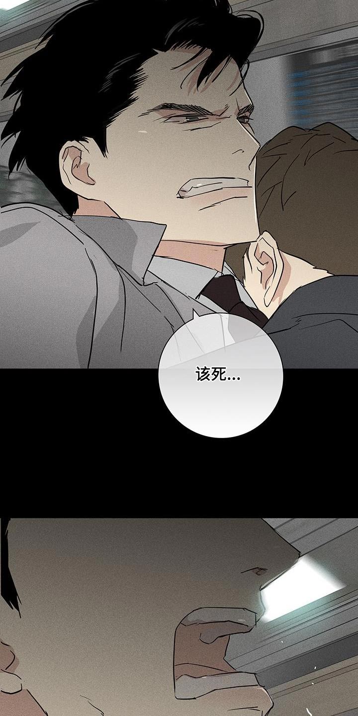 第184章：【第二季】采访4