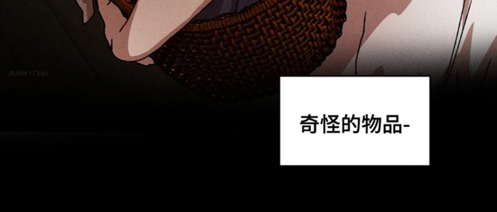 第147章：【番外】奇怪的物品18