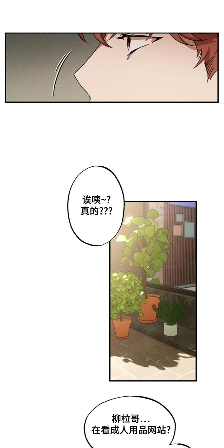 第147章：【番外】奇怪的物品8