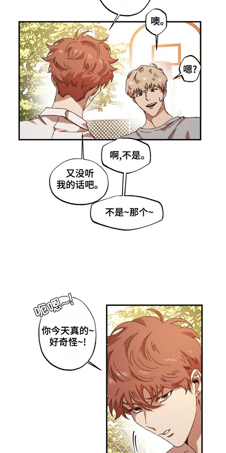 第146章：【番外】打篮球5
