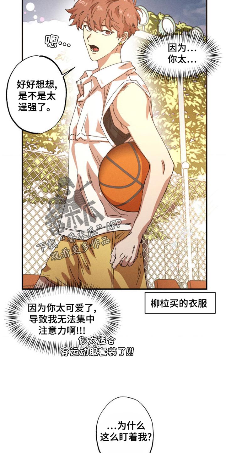 第146章：【番外】打篮球4