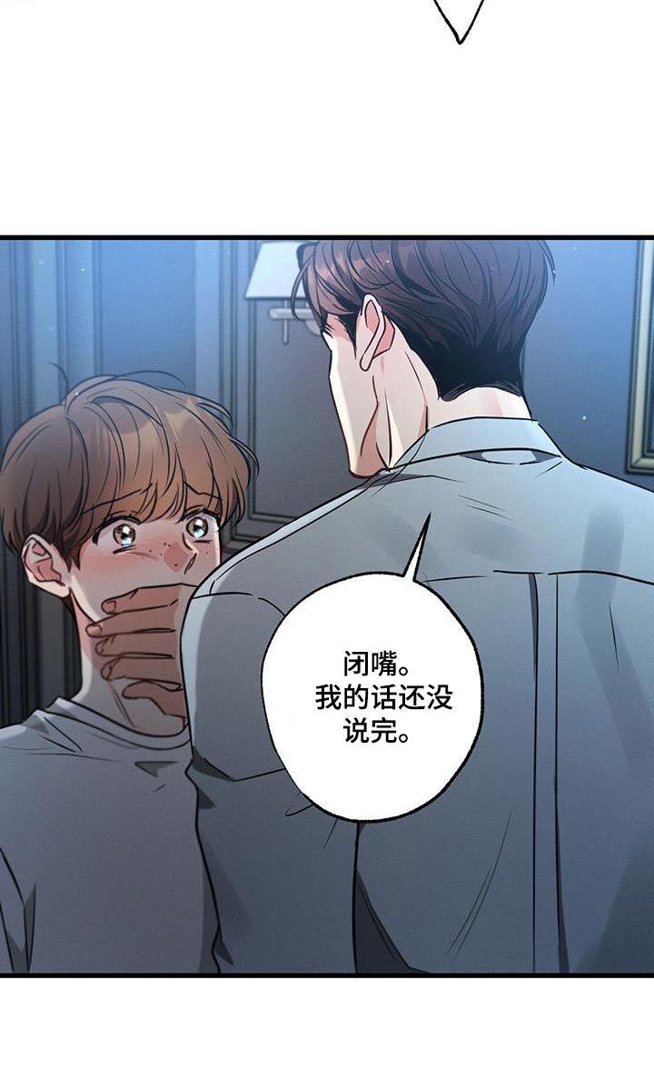 第159章：【第二季】你的选择17