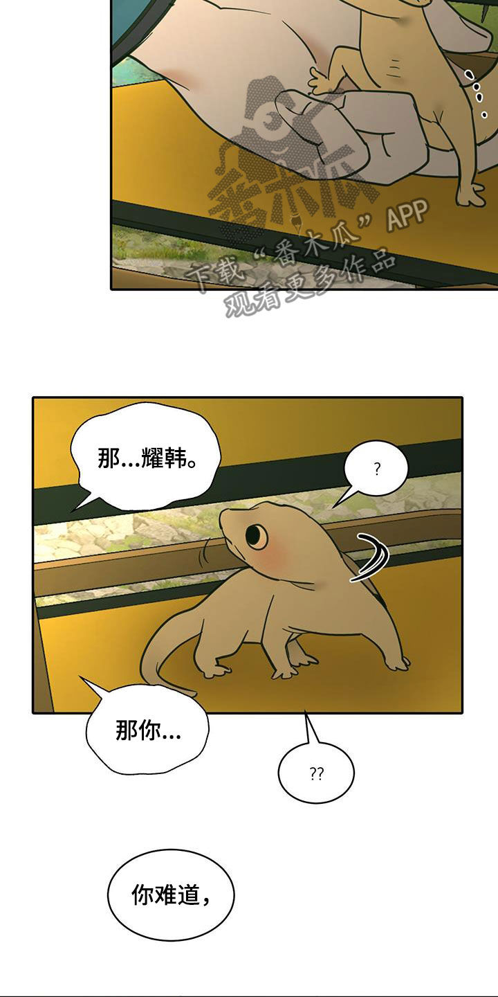 第210话13