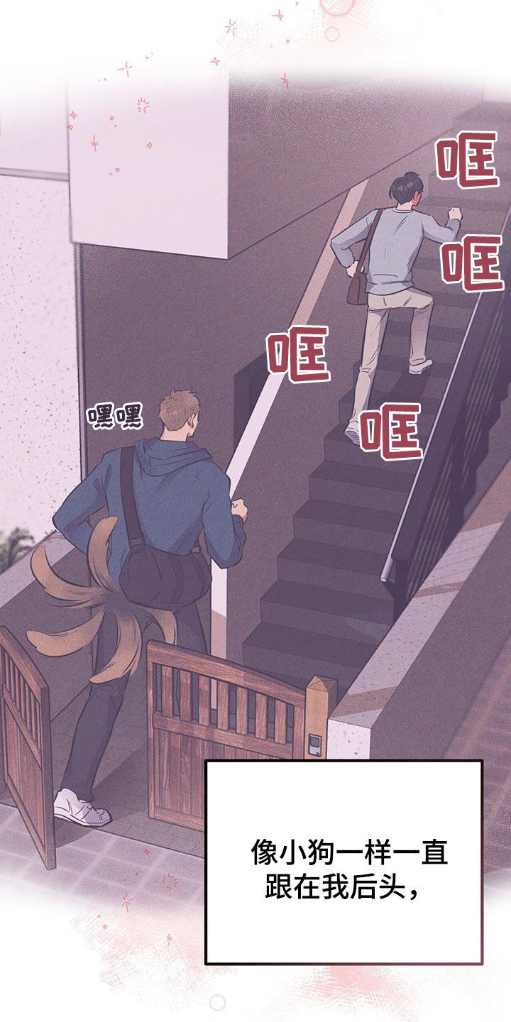 第58章：危险12