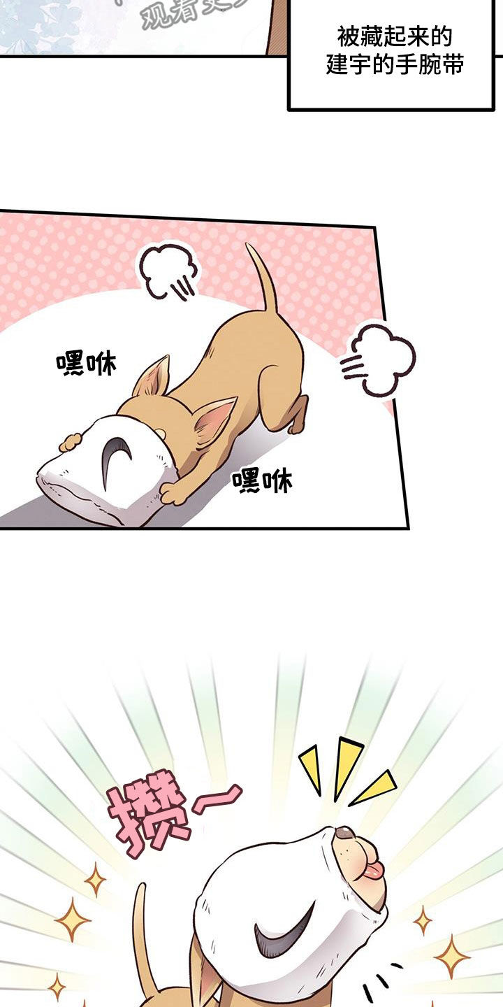 第62章：就现在27