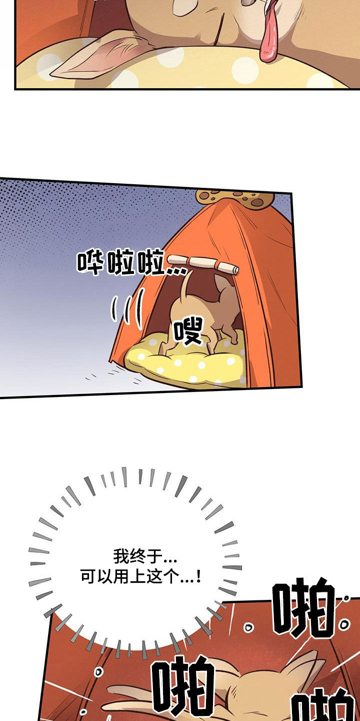 第62章：就现在25