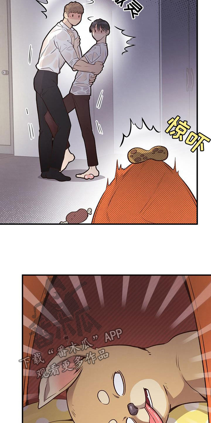 第62章：就现在20