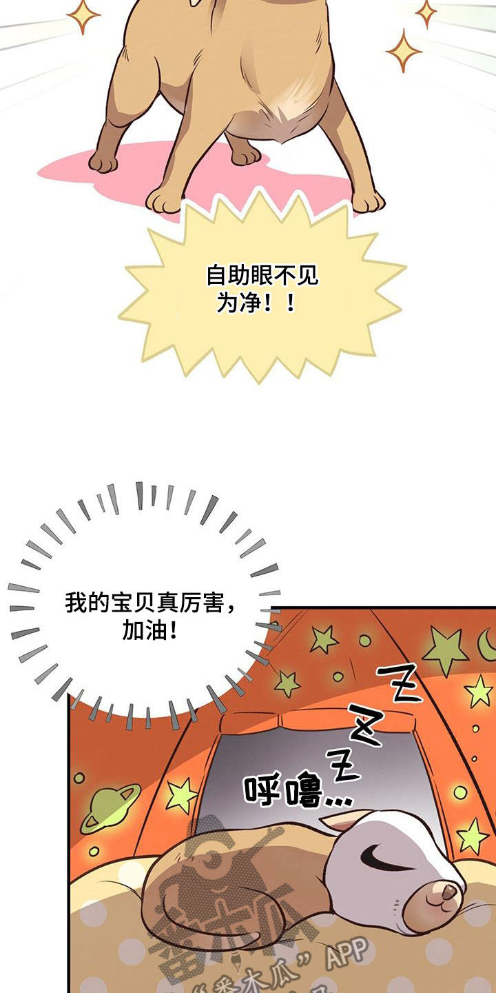 第62章：就现在28