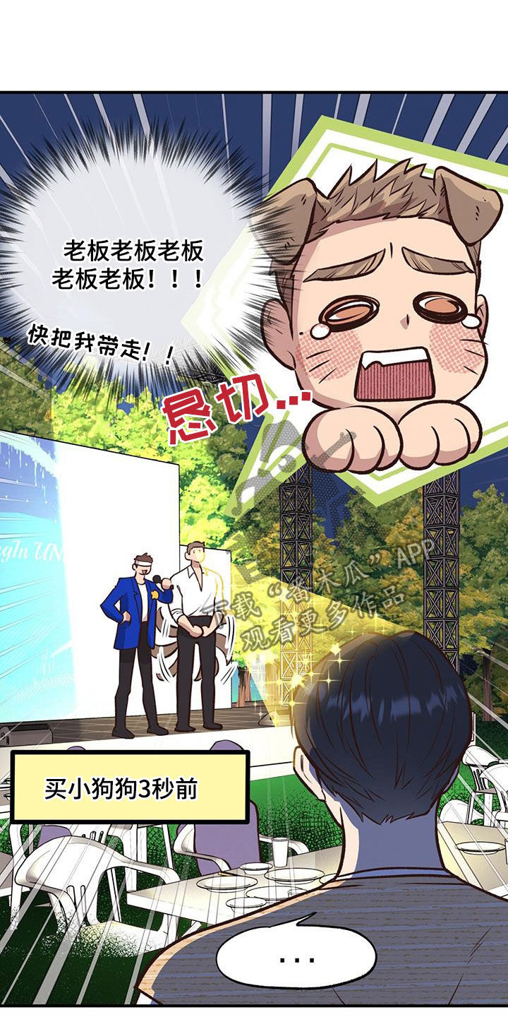第55章：竞拍31