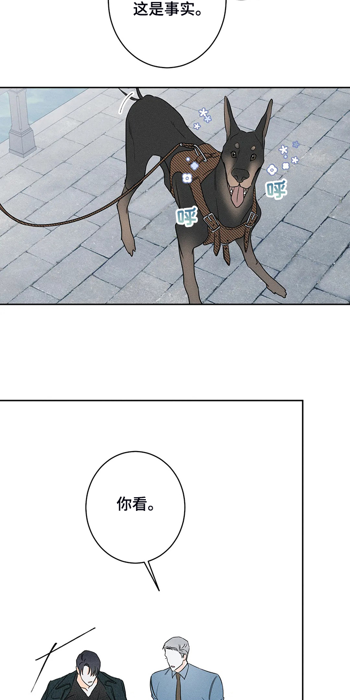第66话17