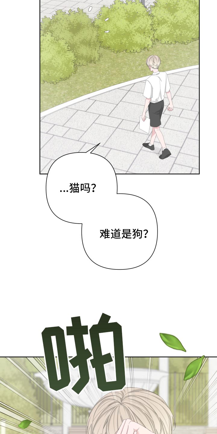第125话17