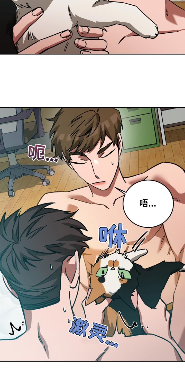 第171章：【番外】这就够了15