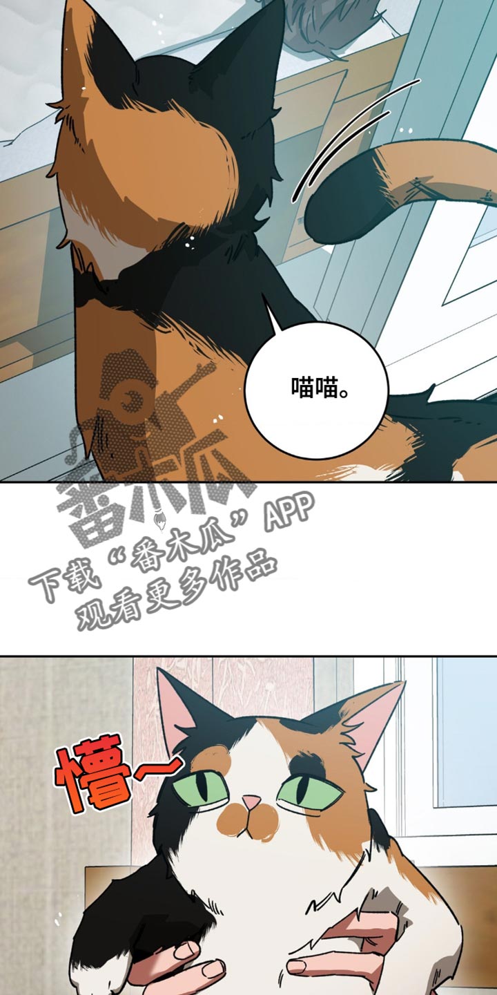 第171章：【番外】这就够了10