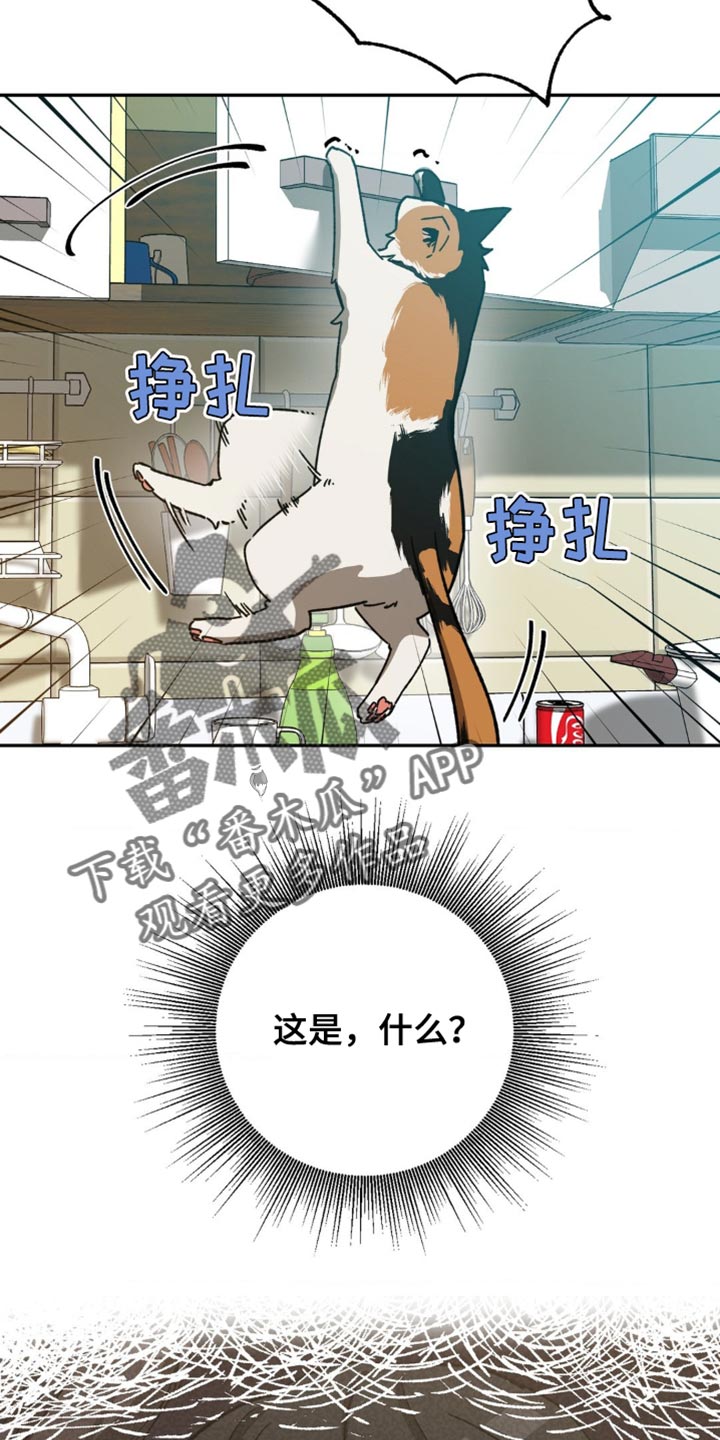 第171章：【番外】这就够了27