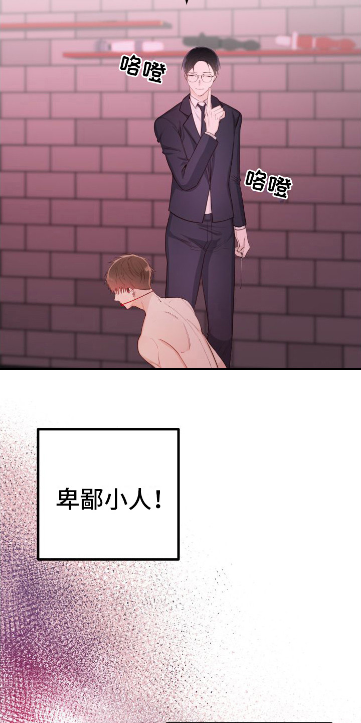 第20章：另类直播：很熟练22