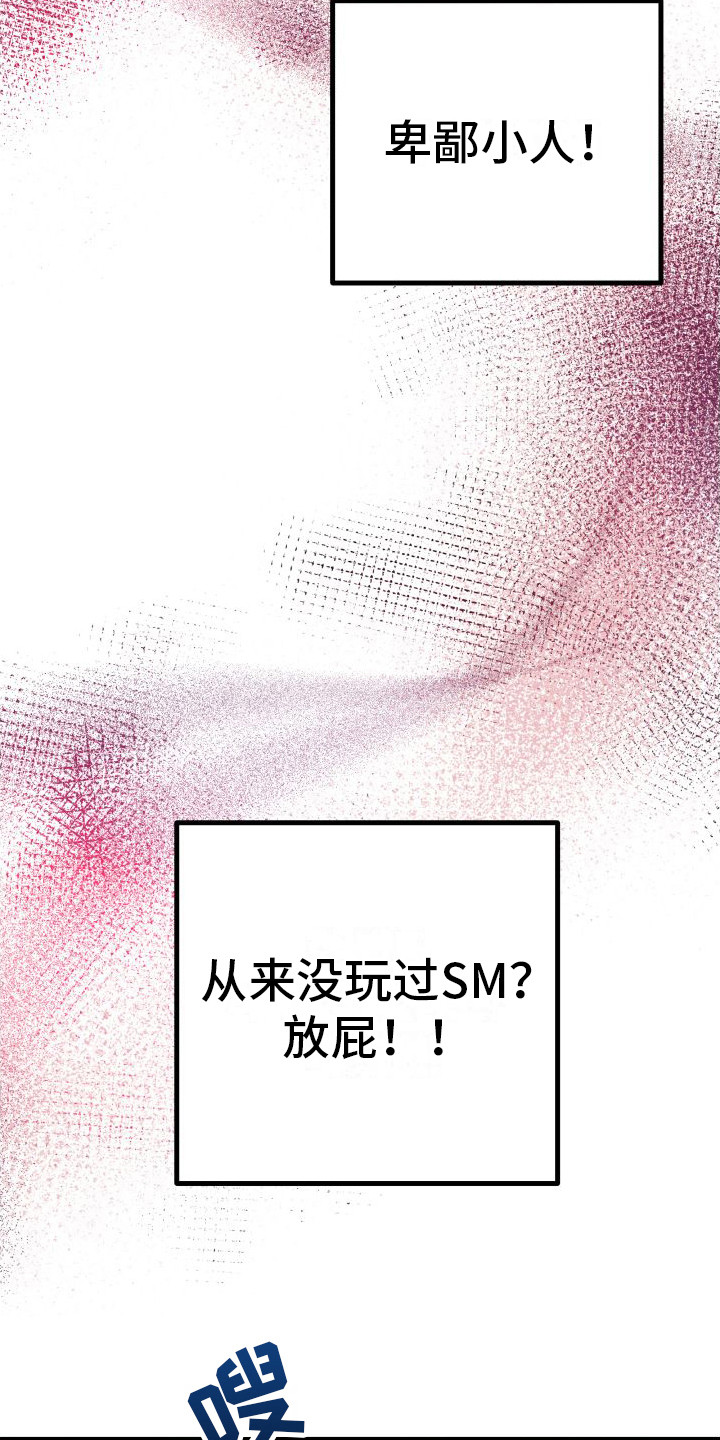 第20章：另类直播：很熟练23