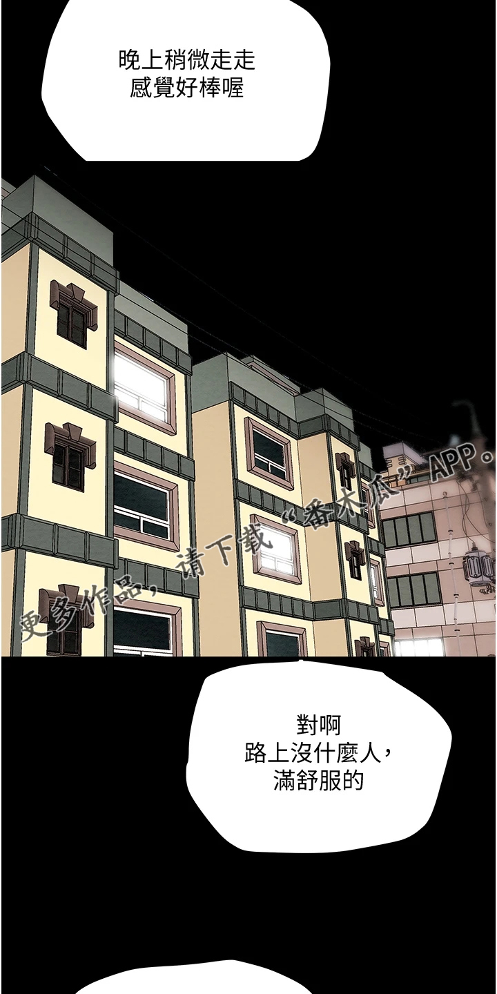 第93章：晚间散步1