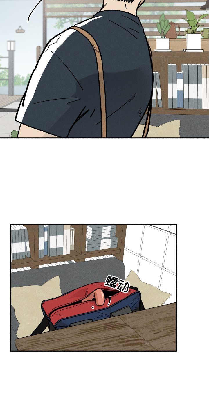 第38章：照片6