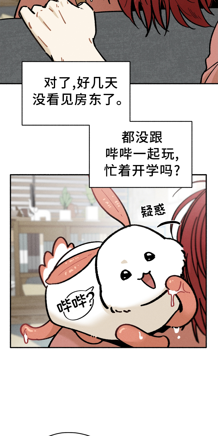 第39章：窃喜20