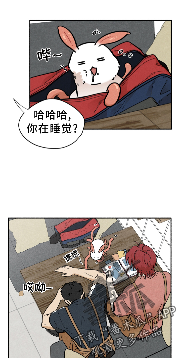 第38章：照片7