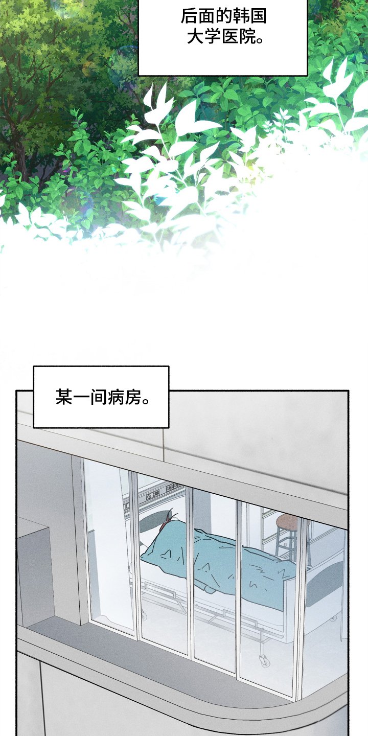第45章：恋爱日记18