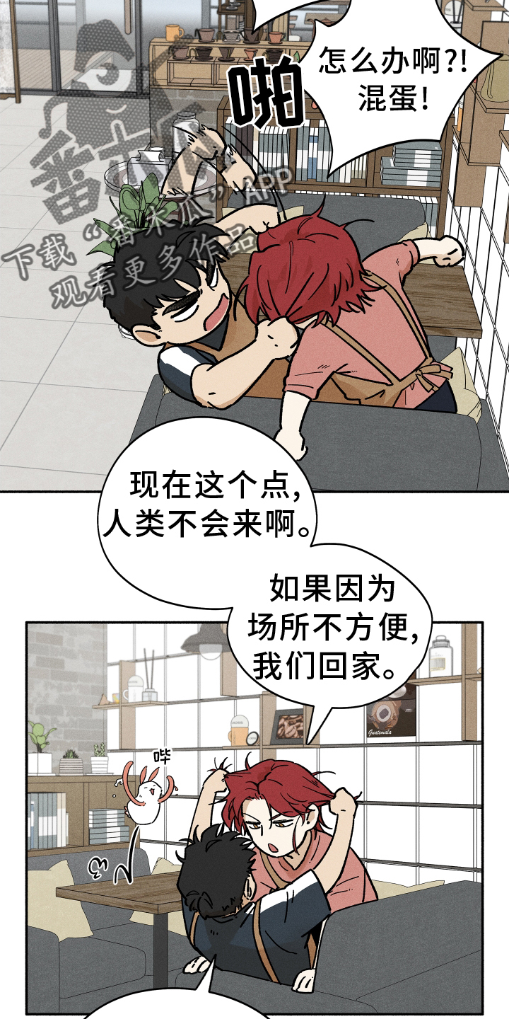 第39章：窃喜12