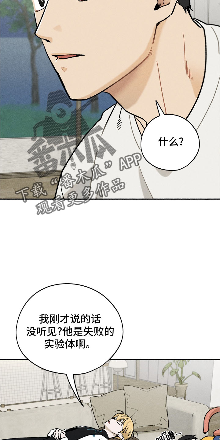第45章：恋爱日记13