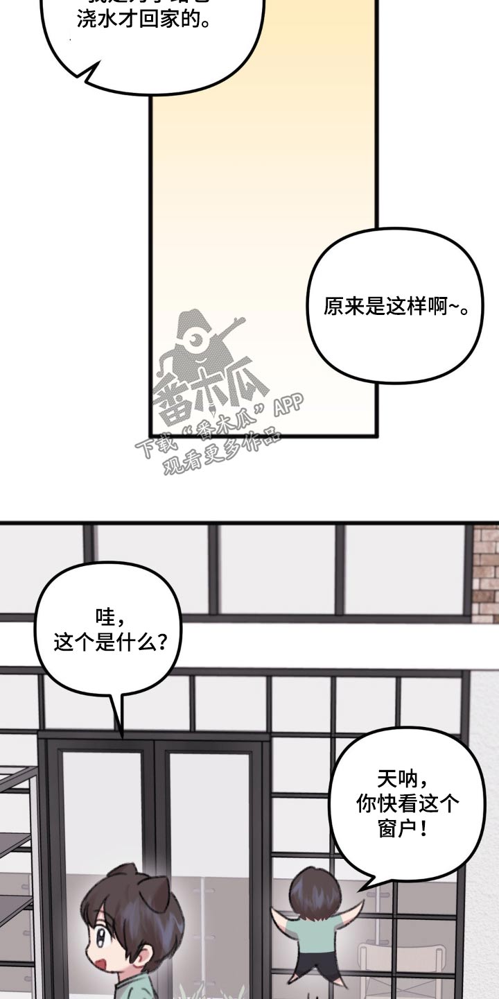 第44章：好奇3