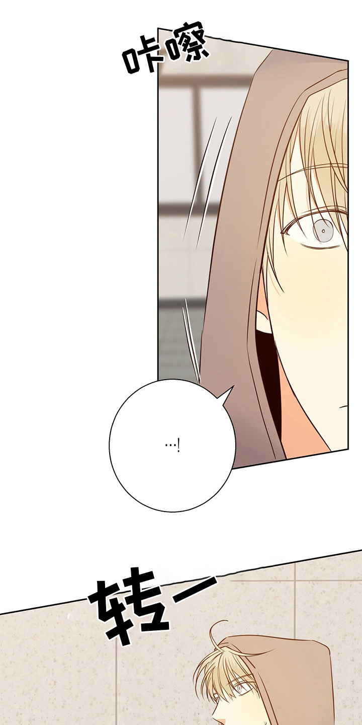 第113话6