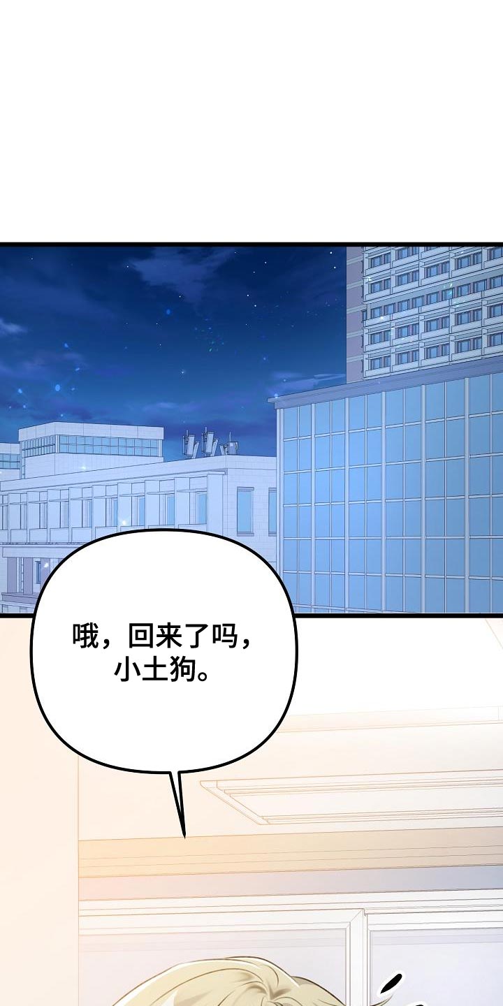 第46章：本质的问题0