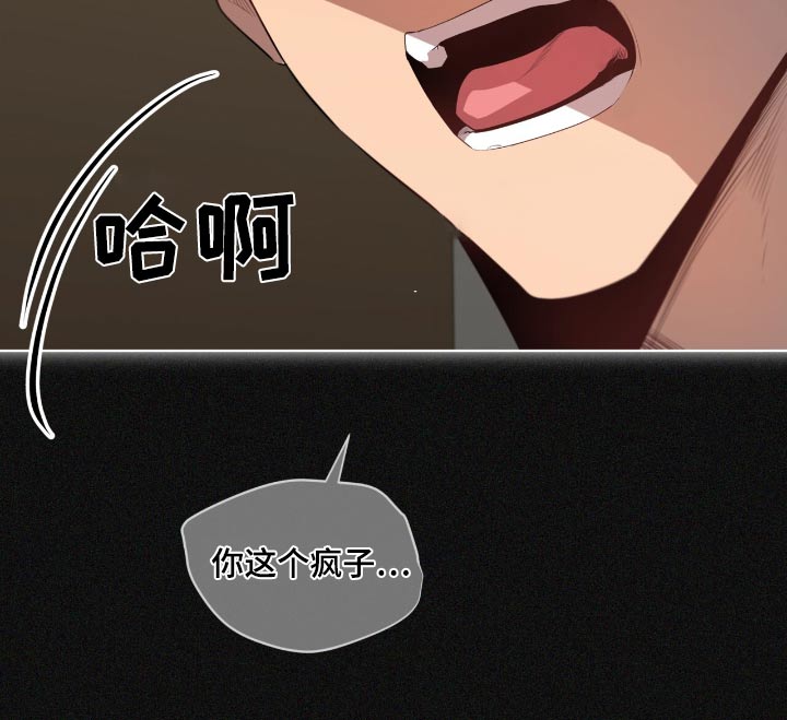 第204话11